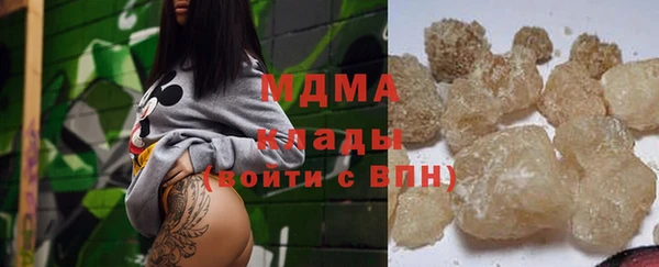 прущие грибы Ачинск