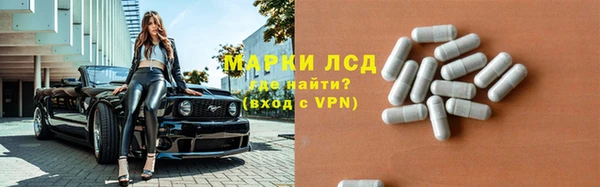 ГАЛЛЮЦИНОГЕННЫЕ ГРИБЫ Бердск