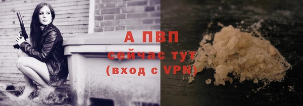 прущие грибы Ачинск