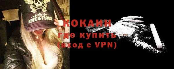 сатива Алагир