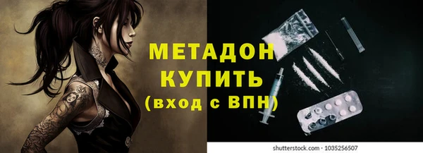 прущие грибы Ачинск