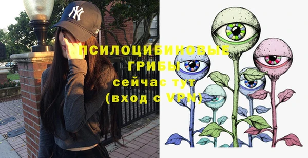 сатива Алагир