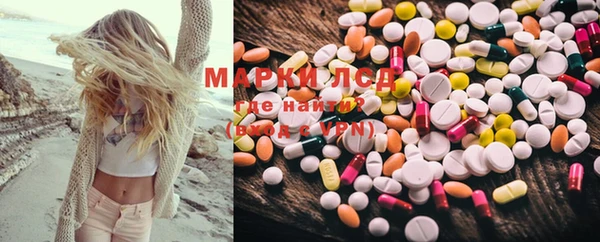 прущие грибы Ачинск