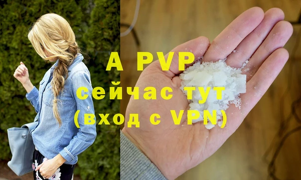 ГАЛЛЮЦИНОГЕННЫЕ ГРИБЫ Бердск