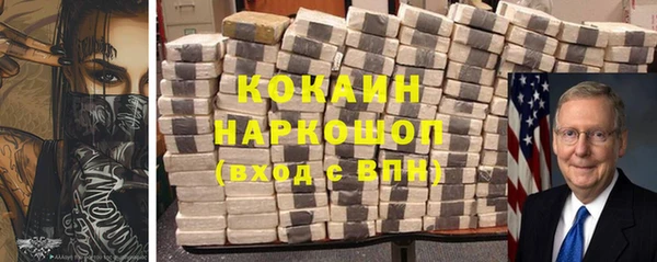 прущие грибы Ачинск