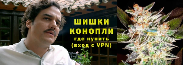 ГАЛЛЮЦИНОГЕННЫЕ ГРИБЫ Бердск