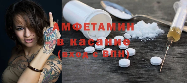 сатива Алагир