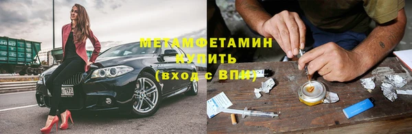 прущие грибы Ачинск