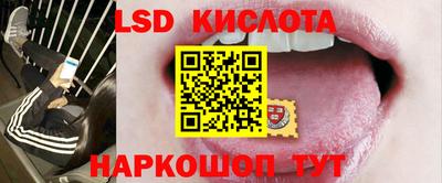 сатива Гатчина
