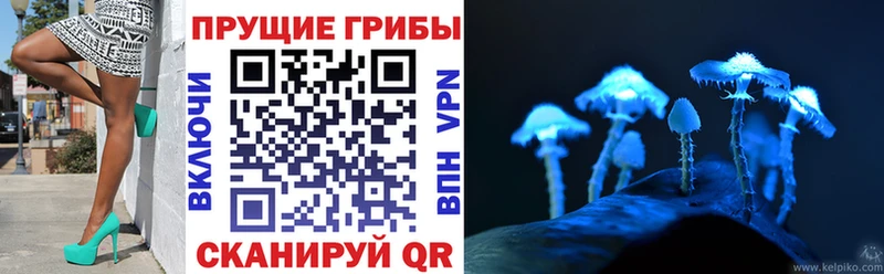 Псилоцибиновые грибы GOLDEN TEACHER  магазин продажи   Дубна 