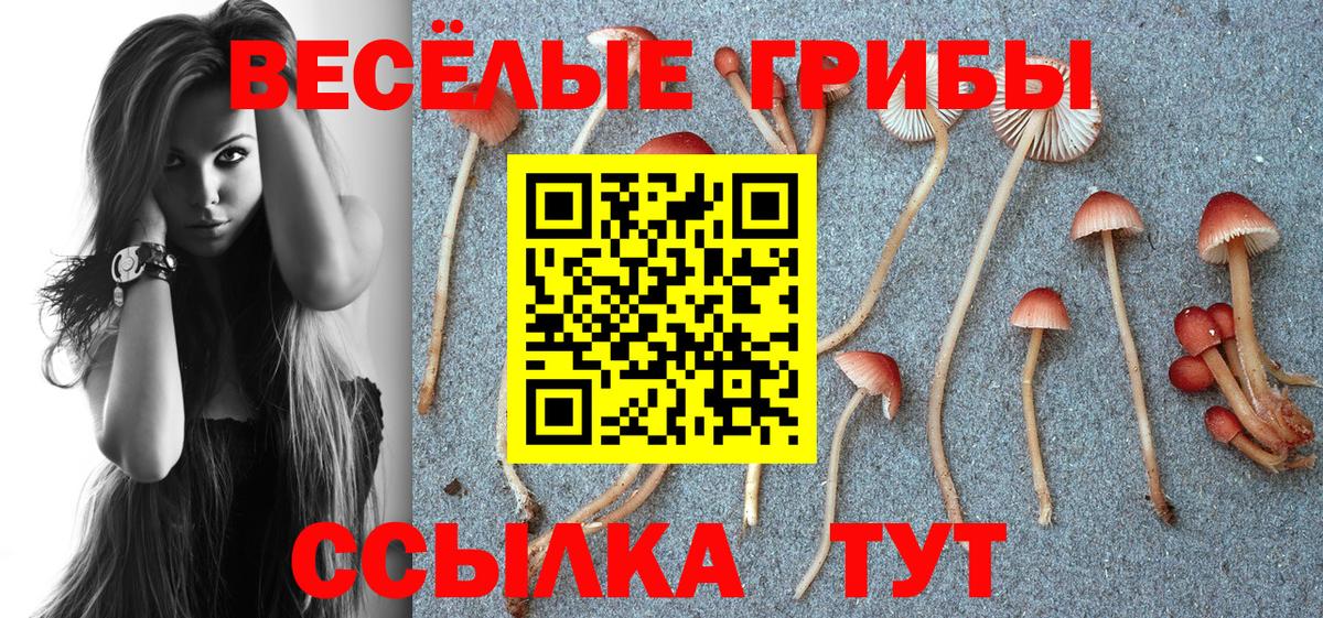 Галлюциногенные грибы Magic Shrooms  Вход с VPN  Дубна 